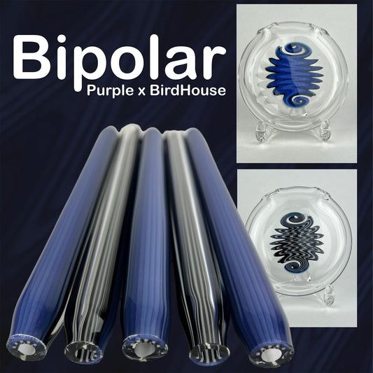 Purple x BirdHouse - Bipolar Tubing - Colorado Color Company - Borosilicate Glass
